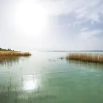 Tramonto By Interhome Villa Balatonszarszo