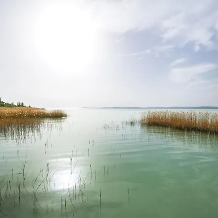 Tramonto By Interhome Villa Balatonszarszo