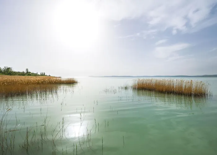 Tramonto By Interhome ヴィラ バラトンサールソー